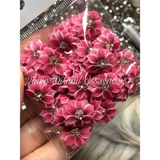 Hoa Bột Nail - Hoa Cúc Cho Móng Chân